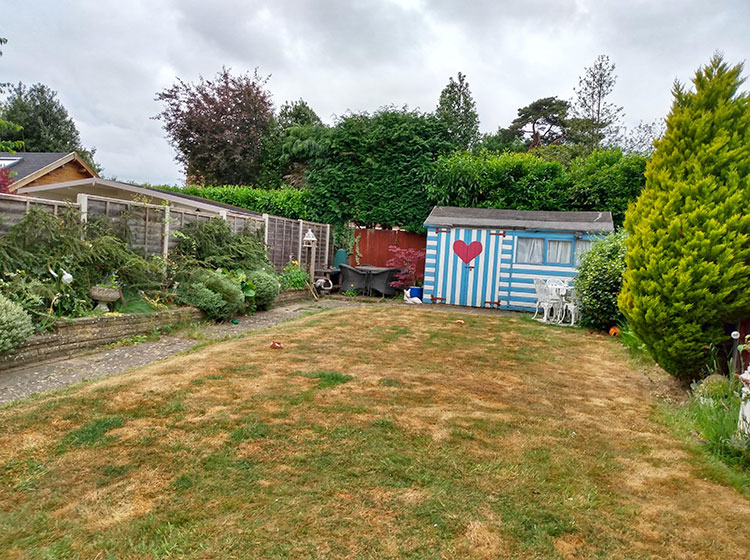 Tired looking garden with old shed - before the make-over