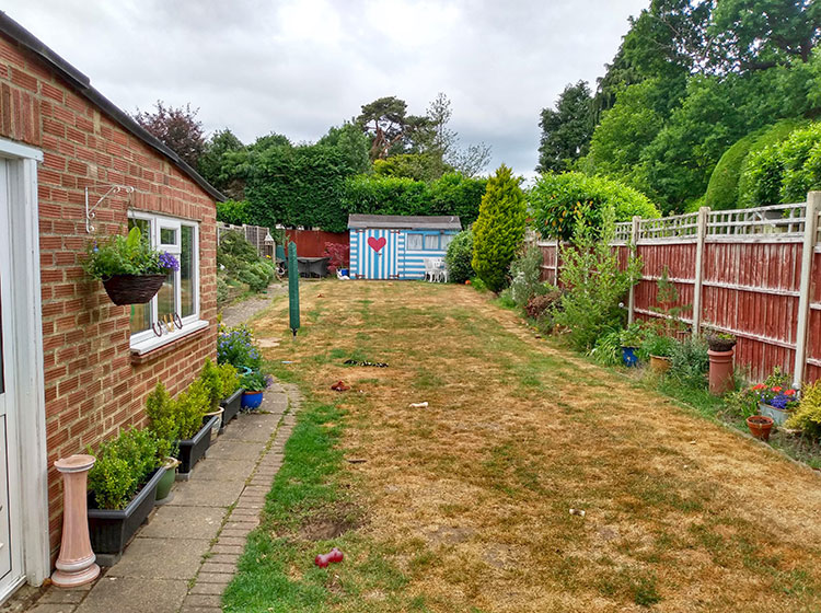 Tired looking garden with old shed - before the make-over