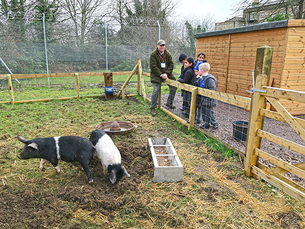 Nigel talking to interested pupils about the school farm’s pigs
