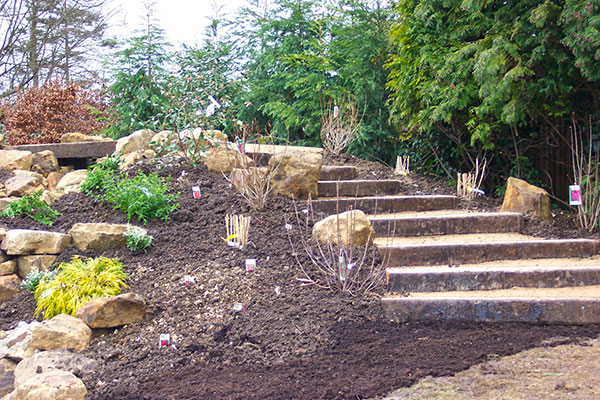 Planting and sleeper steps set into hillside